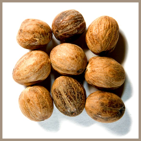 jamaican-african-nutmeg