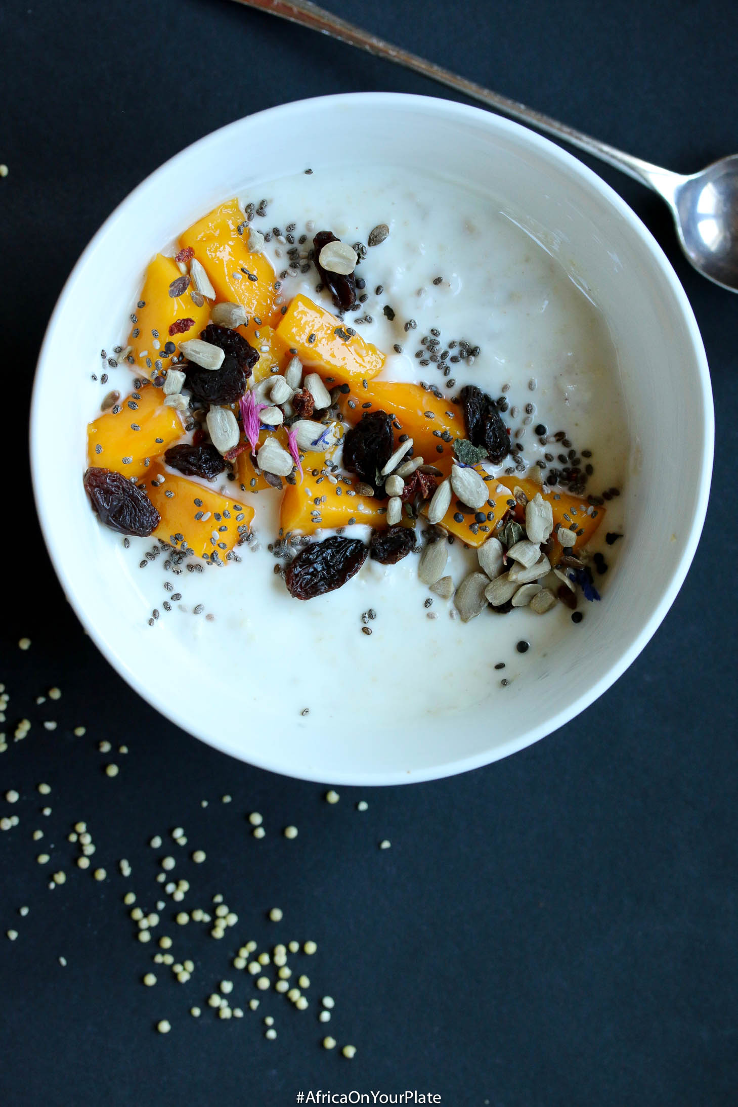 african ginger millet cereal (fura de nono)