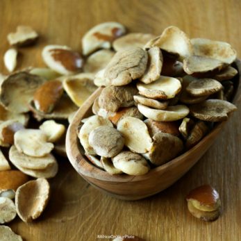 african-mango-kernels