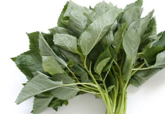 jute mallow leaves