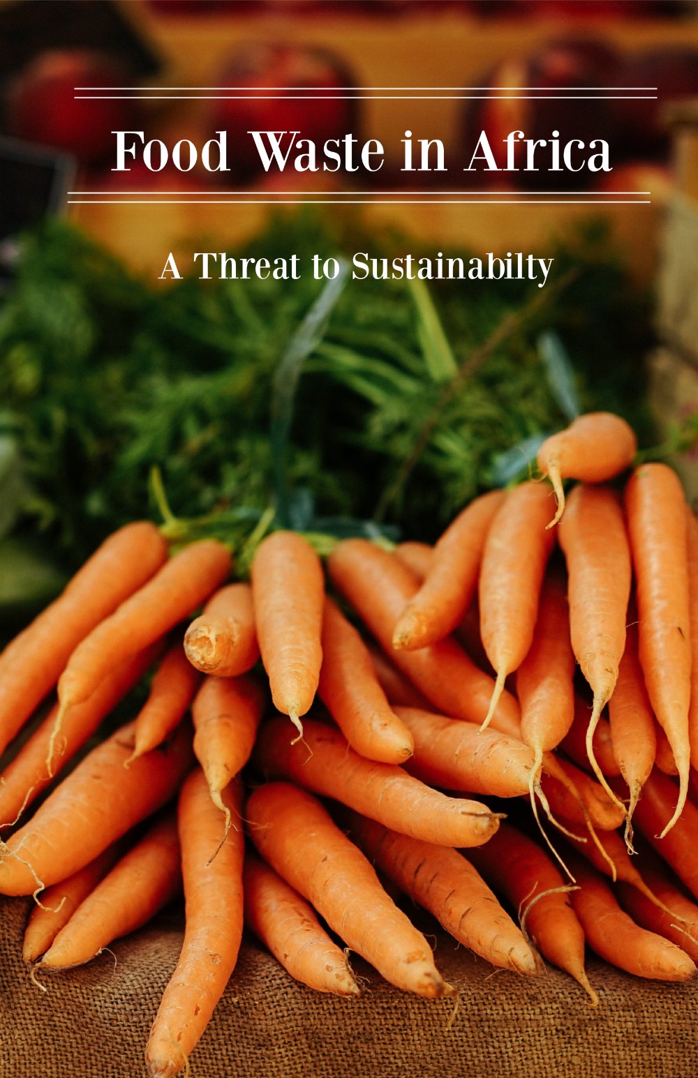 Reducing food waste in Africa is critical to improving food availability, achieving food security, and reducing stress on natural resources.