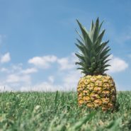 pineapple