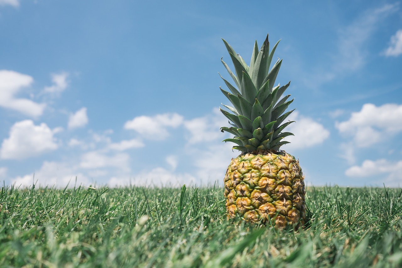 pineapple
